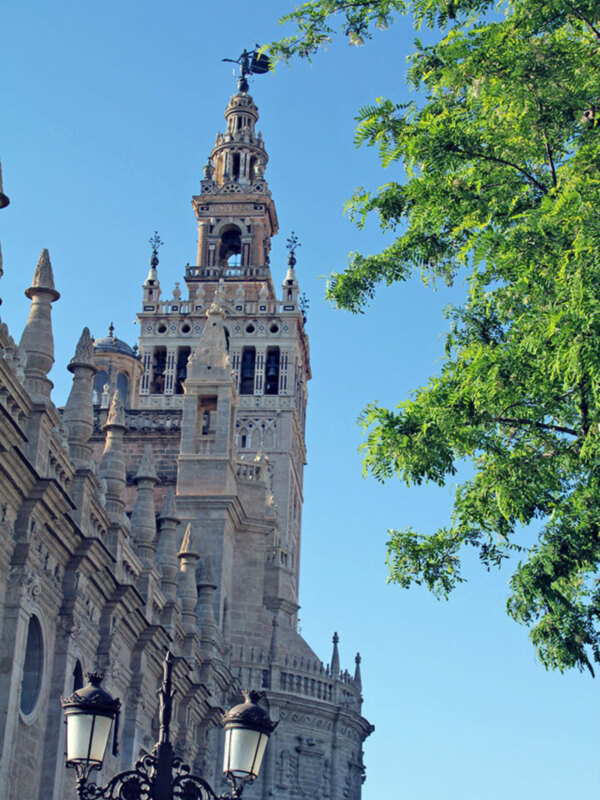 Mas del 10 % de la visitas a la Catedral y Giralda son ofrecida gratuitamente