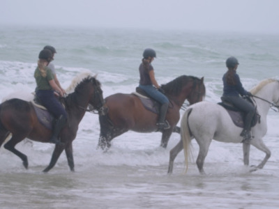 Miura, una de las ganaderías más prestigiosas de España, en "TodoCaballo"