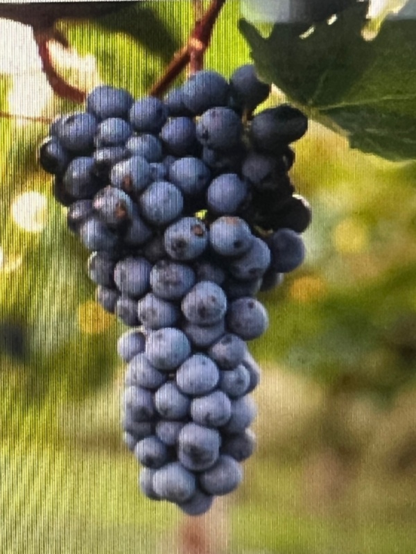 Cinco minutos para las doce...