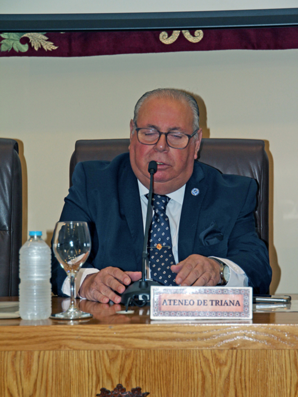 “Mujer, discapacidad y violencia"en el Ilustre Colegio de Abogado de Sevilla