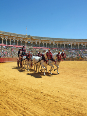 XXXVIII Exhibición de enganche de  Sevilla 2024
