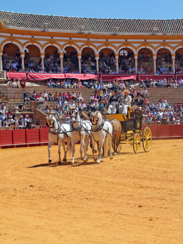 La Capital Hispalense, se volvió a rendir ante la belleza y la majestuosidad de los enganches en la Real Maestranza de Sevilla 