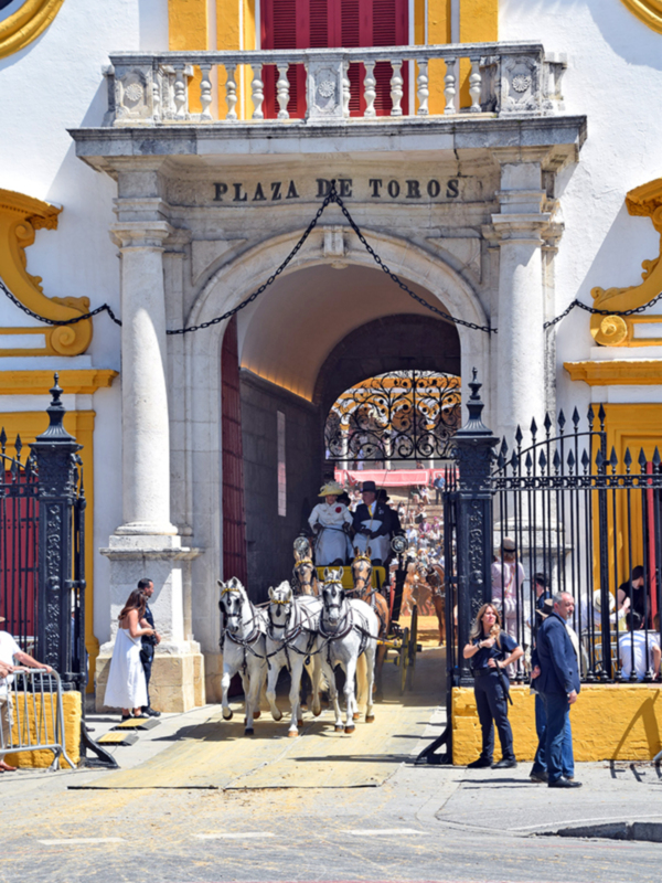 Sevilla se rinde ante la belleza y la majestuosidad de los enganches en la Maestranza