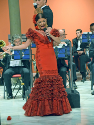 VIII Concierto de Exaltación de la cultura taurina a través de la música