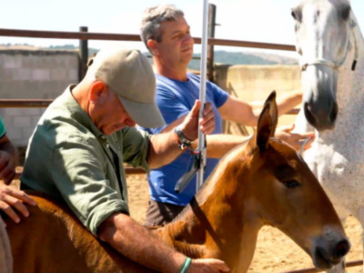 Ruta ecuestre por Donaña, en "Todocaballo"