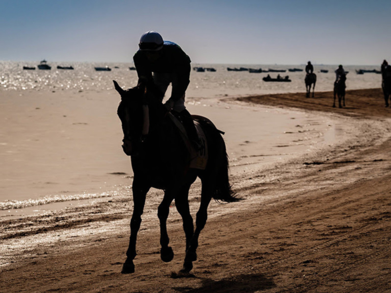 Canal Sur se vuelca con las Carreras de Caballos de Sanlúcar