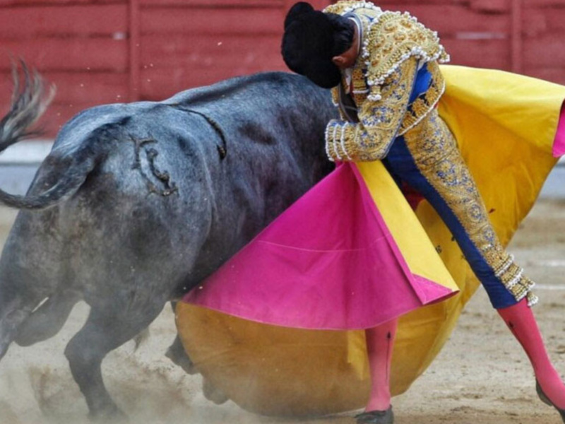 Corrida de toros en directo desde la Feria de Málaga, este lunes en Canal Sur