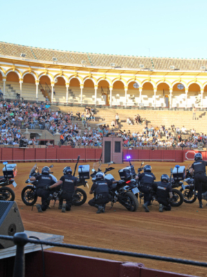 Exhibición policial en Sevilla con la participación de UIP, GEO, TEDAX y otras unidades en la festividad de los Santos Ángeles Custodios.