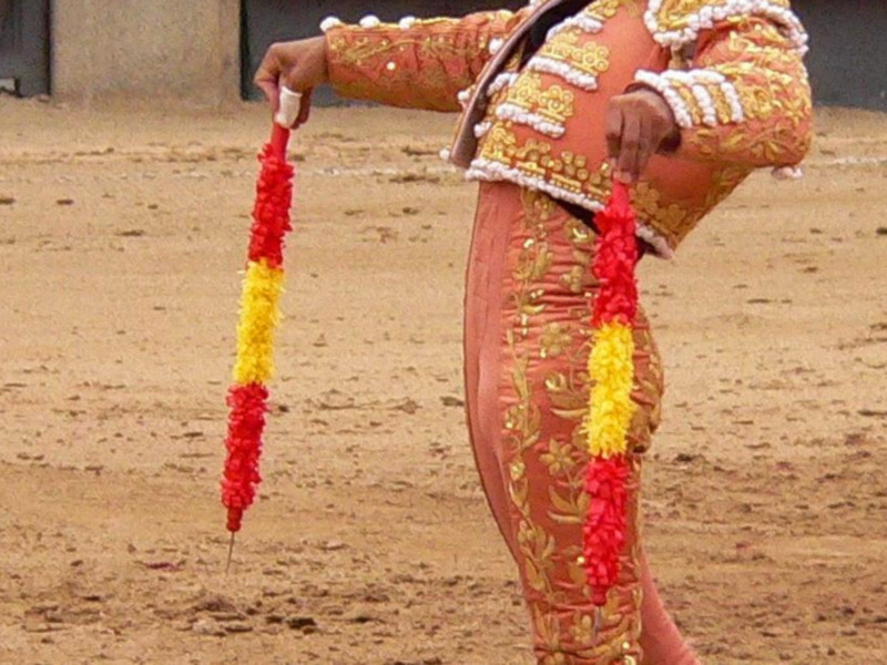 Festejo mixto desde el coso de la Alameda de Jaén