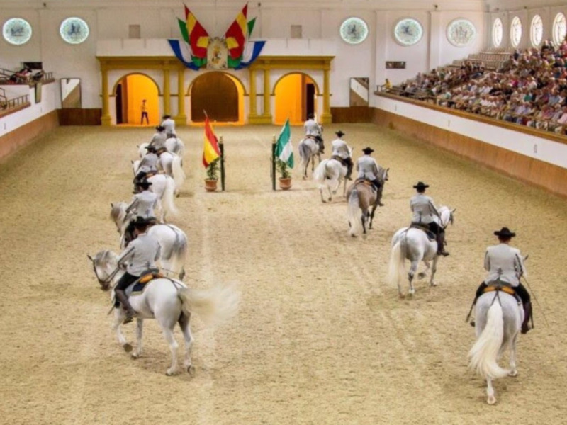 El espectáculo "Cómo Bailan los Caballos Andaluces", en "TodoCaballo"