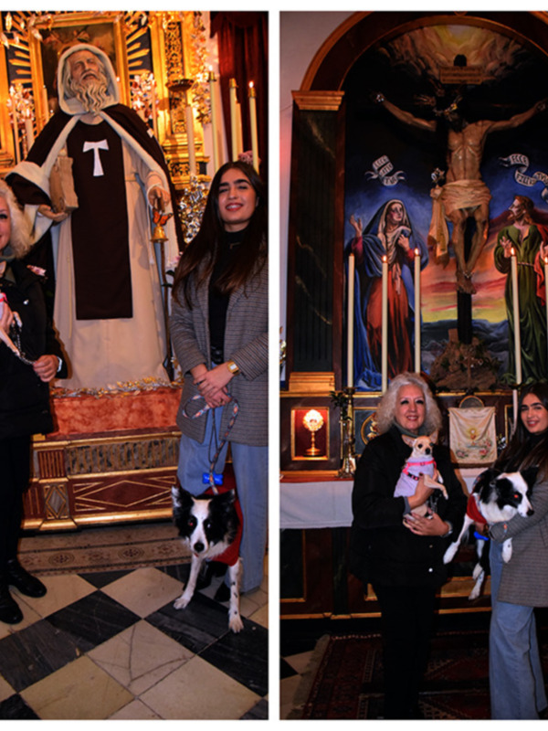  Perros, Gatos y Más en la Solemne Función de San Antonio Abad en Sevilla