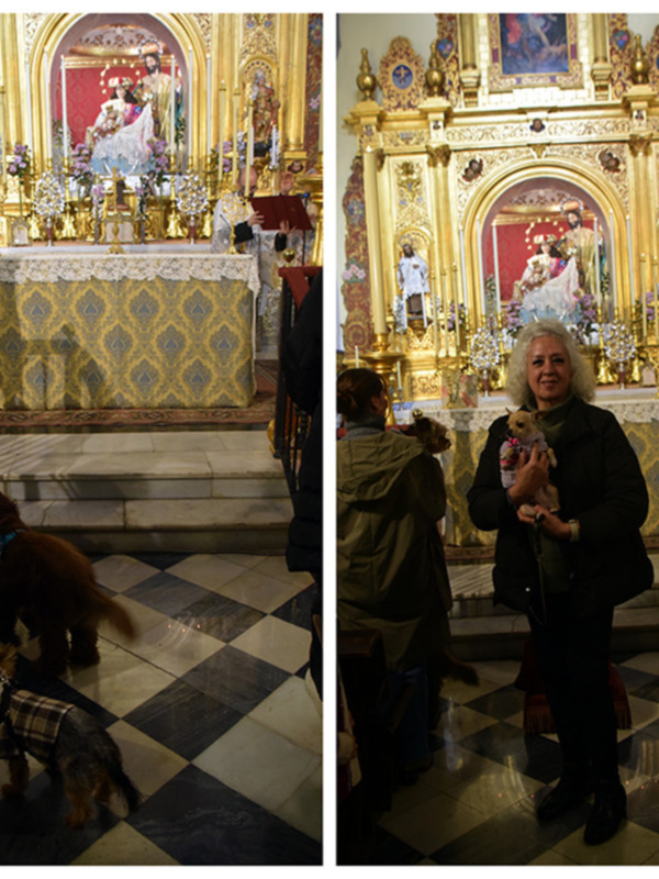  20 Años Celebrando San Antón: La Tradicional Bendición de Animales en la Calle Amparo