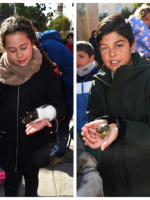  Perros, Gatos y Más: La Festividad de San Antón Convoca a Todo Tipo de Mascotas en Sevilla 