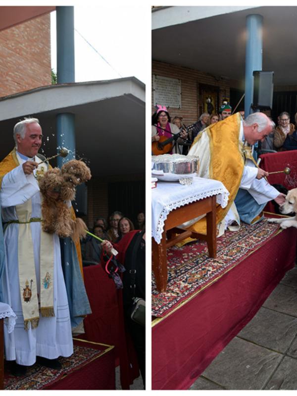  San Antonio Abad: El Santo Protector de los Animales, Celebrado con Fe y Alegría en Sevilla 