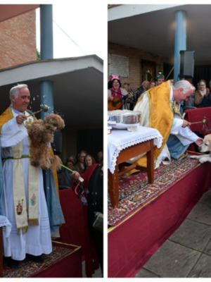  San Antonio Abad: El Santo Protector de los Animales, Celebrado con Fe y Alegría en Sevilla 