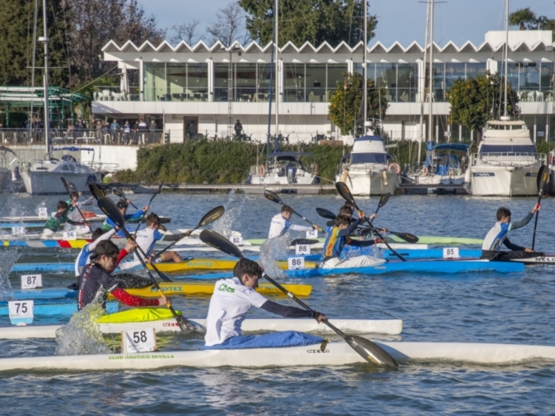 XX Trofeo interclubes de Sevilla-III Open Club Náutico Sevilla de piragüismo