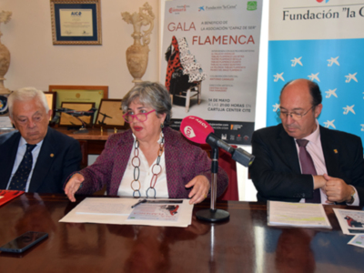  La Fundación Cámara impulsa la cultura empresarial solidaria con el apoyo a “Capaz de Ser”