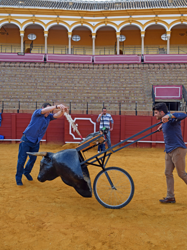 Sevilla vive la pre-feria al compás del toreo,talleres gratuitos en la Maestranza