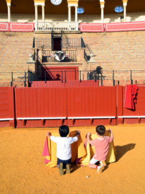  Tradición y aprendizaje se dan cita en la Maestranza con los talleres de tauromaquia de Sevilla