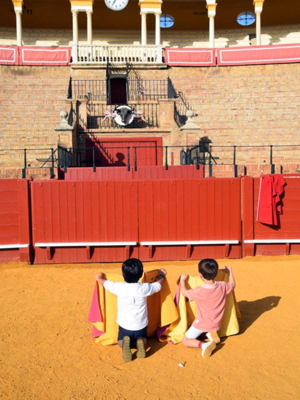  Tradición y aprendizaje se dan cita en la Maestranza con los talleres de tauromaquia de Sevilla