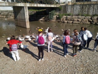 La Diputación organiza unas 400 actividades de Educación Ambiental para el próximo curso