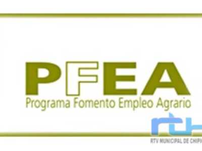 Chipiona recibirá más 800.000 euros en el Programa de Fomento del Empleo Agrario 2025-2026  