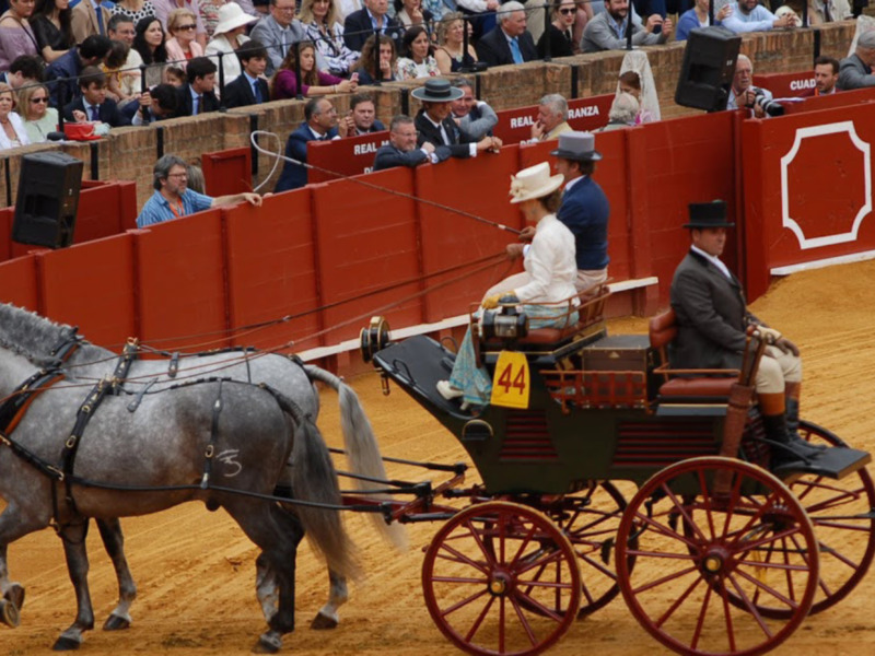 La XXXIX Exhibición de Enganches de Sevilla, este sábado en Canal Sur