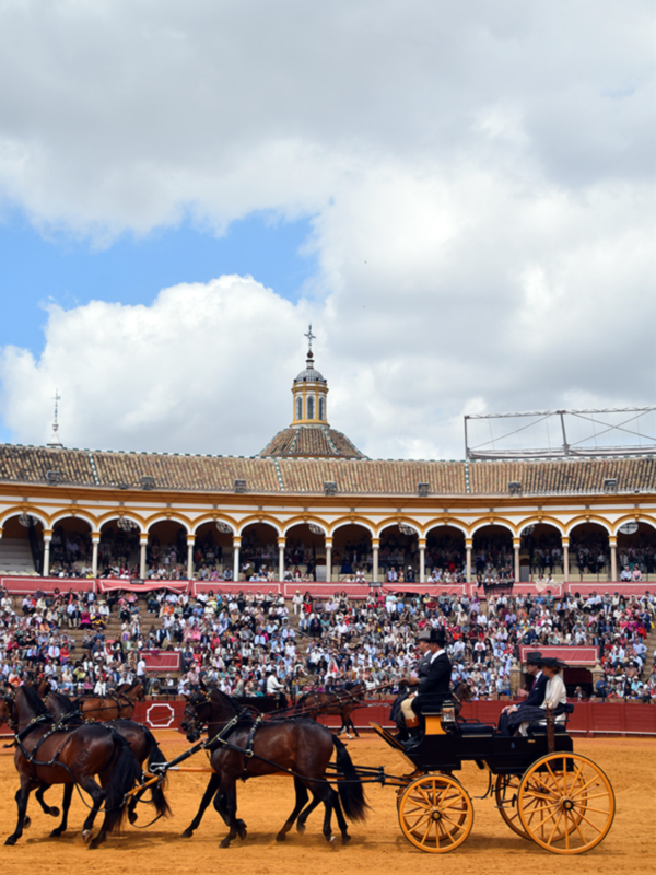 Sevilla se reafirma como capital mundial del enganche en una nueva edición histórica de su exhibición ecuestre