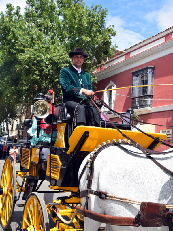  La Exhibición de Enganches, joya ecuestre de la Feria de Sevilla, cumple más de 40 años de historia