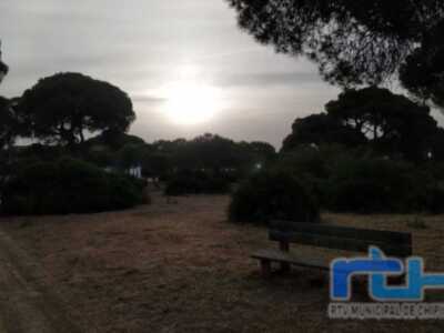 Medio Ambiente pide colaboración para que haya respeto al entorno natural y a los animales en los días de la Romería del Pinar