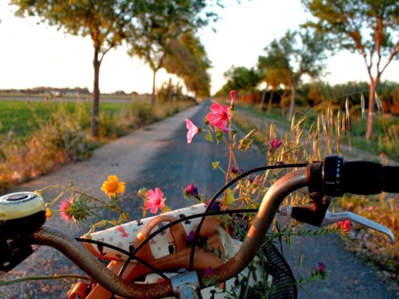 Diputación adjudica la redacción del proyecto para la mejora, acondicionamiento y reseñalización de la Vía Verde en Chipiona