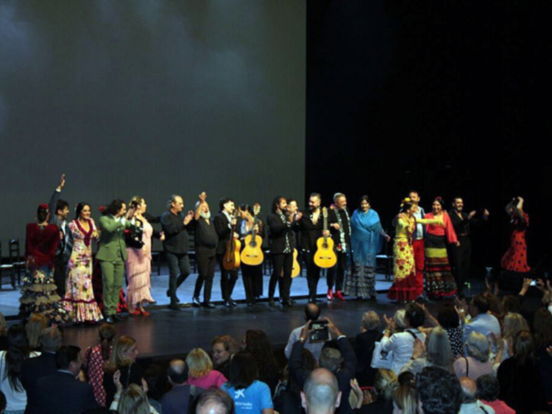  El flamenco se convierte en motor de inclusión para jóvenes con discapacidad intelectual