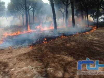 La Junta prohíbe el uso del fuego en los espacios forestales y de influencia forestal de Andalucía hasta el 15 de octubre